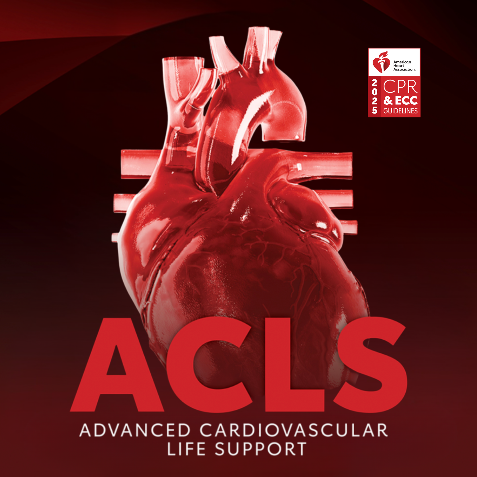 acls instructions